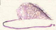 Catnip Mouse